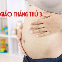 5 phương pháp Thai giáo tháng thứ 3 mà mẹ bầu nào cũng cần áp dụng